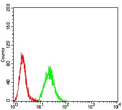 Figure 1:Flow cytometric analysis of Hela cells using HDAC9 mouse mAb (green) and negative control (red).