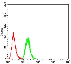 Figure 1:Flow cytometric analysis of MCF-7 cells using KDM5B mouse mAb (green) and negative control (red).
