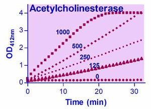 QuantiChrom™ Acetylcholinesterase Assay Kit
