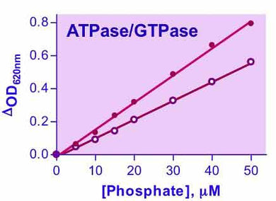 QuantiChrom™ ATPase/GTPase Assay Kit