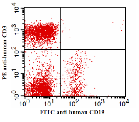 Anti-Human CD3 Monoclonal Antibody (PE Conjugated)