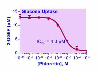 EnzyFluo™ Glucose Uptake Assay Kit