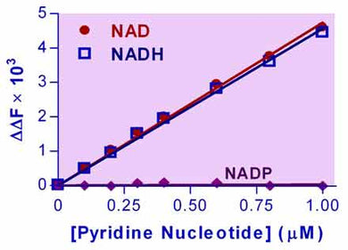 EnzyFluo™ NAD/NADH Assay Kit