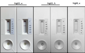 Rapid Human Monoclonal Antibody Isotyping Kit-1 (5 tests)