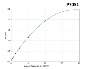Human CAV1(Caveolin-1) PreciQuant ELISA Kit