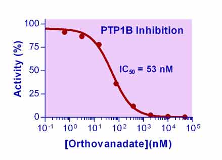 Phosphatase Inhibitor (Sodium Orthovanadate)