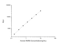 Human RARS (Arginyl tRNA Synthetase, cytoplasmic) CLIA Kit