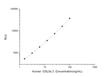 Human COL5a2 (Collagen Type V Alpha 2) CLIA Kit