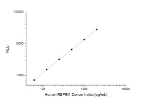 Human REPIN1 (Replication Initiator 1) CLIA Kit