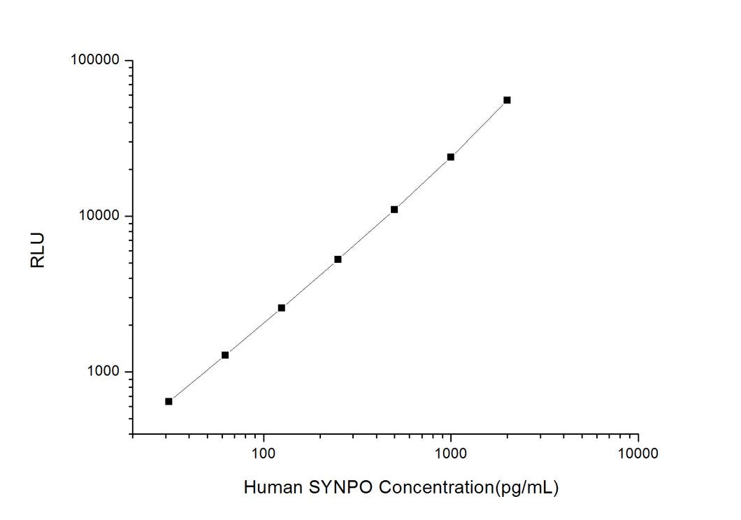 Human SYNPO (Synaptopodin) CLIA Kit
