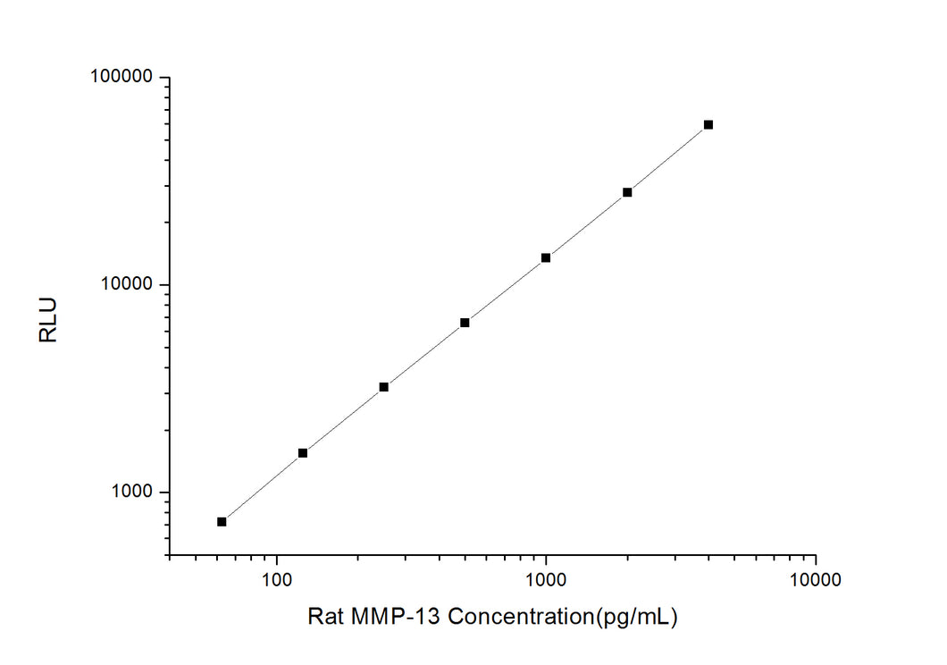 Rat MMP-13 (Matrix Metalloproteinase 13) CLIA Kit