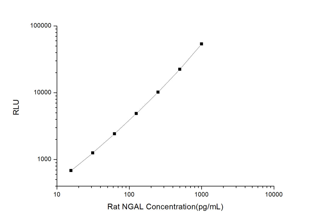 Rat NGAL (Neutrophil Gelatinase Associated Lipocalin) CLIA Kit