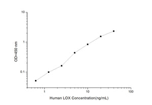 Human LOX (Lysyl Oxidase) ELISA Kit