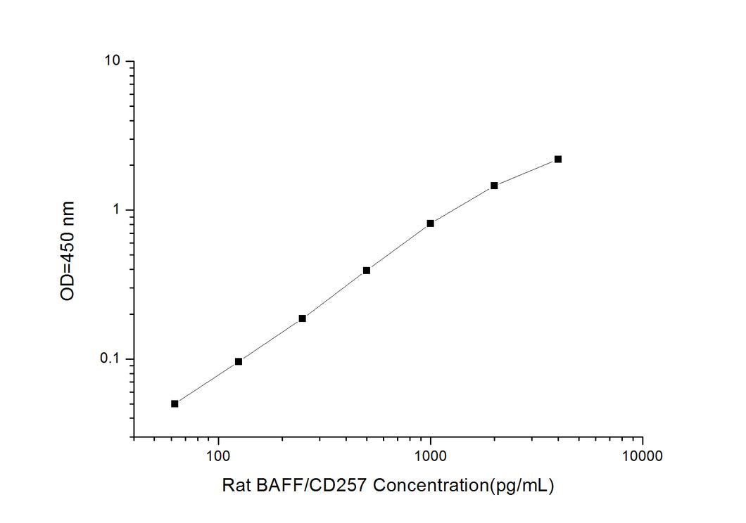 Rat BAFF/CD257 (B-Cell Activating Factor) ELISA Kit