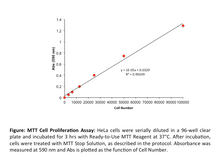 MTT Cell Proliferation Assay Kit