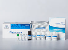 Mouse S100A8 (S100 Calcium Binding Protein A8) ELISA Kit