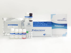 TwoStep Human IgG (Immunoglobulin G) ELISA Kit